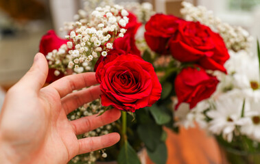 colorful flowers in full bloom, a symbol of nature's beauty and diversity