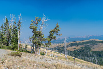 Fototapeta na wymiar Fall Landscape, Yellowstone National Park