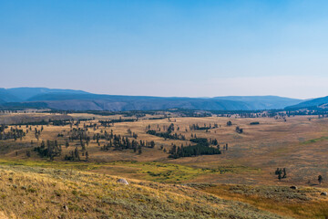 Fall Landscape, Yellowstone National Park
