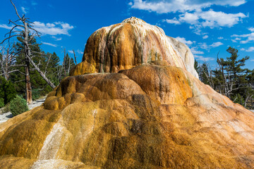 Orange Spring Mound near Mammoth Hot Springs, Yellowstone National Park