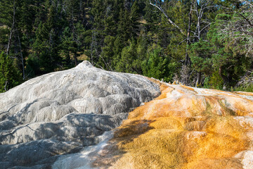 Orange Spring Mound near Mammoth Hot Springs, Yellowstone National Park
