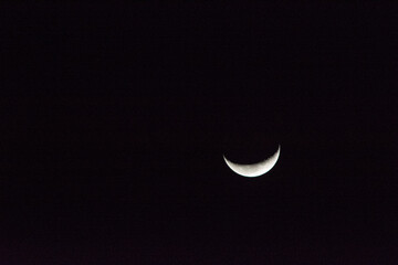 Obraz na płótnie Canvas crescent moon before sunrise