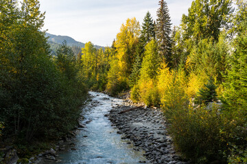 Fototapeta na wymiar Autum leaves Fall colors shine bright over river in Whistler, BC
