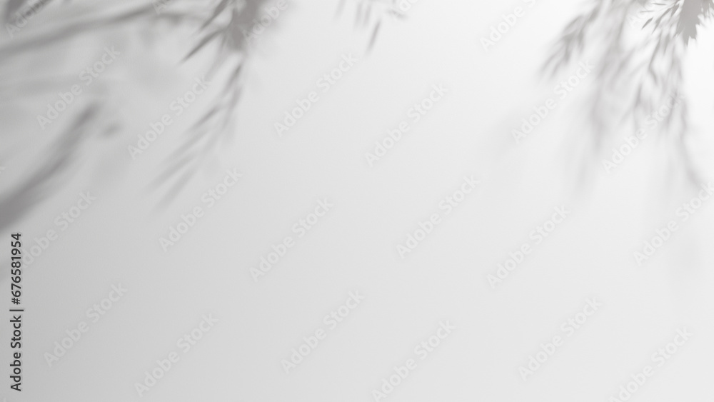 Poster white abstract empty background plaster stucco wall gray and white gradient and leafs shadows and si