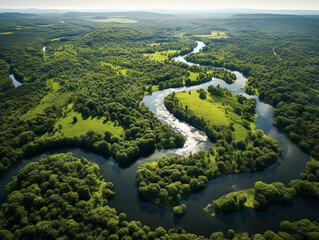 Aerial view of a meandering river flowing into a vast lake, lush greenery, midday sunlight