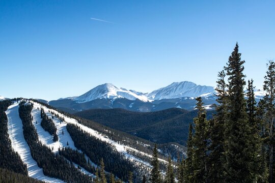 Aerial view of evergreen mountain forests under clear blue sky in Colorado in winter