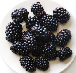 Blackberries in white bowl. Close up.