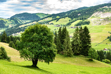 dolomiti 