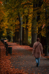 Back view of elegant young woman in gray casual coat in autumn. Cute model walks in the park in golden autumn against background of nature. Autumn walk.