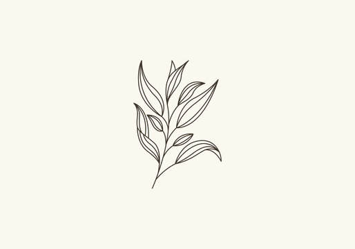 Logo Botanical Leaf and Vines Line Minimalist, Floral Logo Modern and Simple. Editable File
