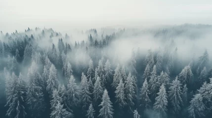 Foto op Aluminium View from above of winter fir tree foggy forest with snow background. © Pro Hi-Res