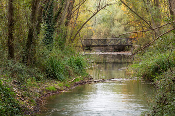 Paisaje natural del río Genil con vegetación y árboles a principios de otoño