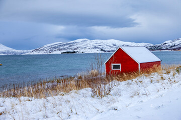 Arctic landscape. Norway - 676601104