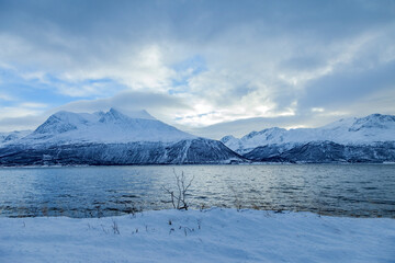 Arctic Landscape. Norway - 676601109