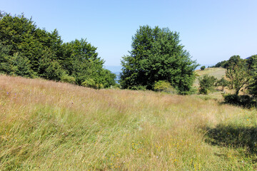 Obraz premium Landscape of Erul mountain near Kamenititsa peak, Bulgaria