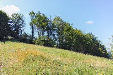 Obraz premium Landscape of Erul mountain near Kamenititsa peak, Bulgaria