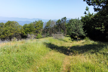 Landscape of Erul mountain near Kamenititsa peak, Bulgaria