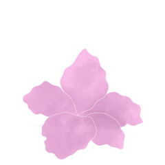 Obraz na płótnie Canvas Flower illustration 