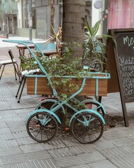 Bicicletas antiguas como maceta sobre arbol en un restaurante en Montevideo, Uruguay