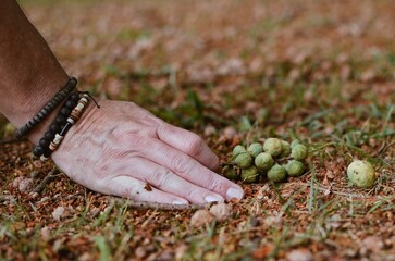 La mano del hombre con pulseras, descansando sobre la hierba con hojas y flores.