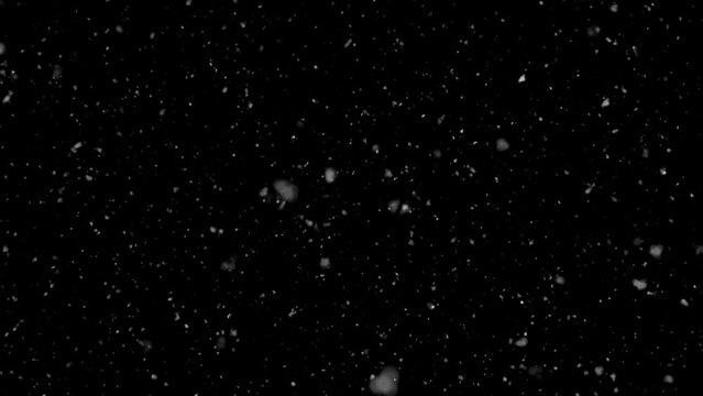 White snow overlay on black background. Snowfall for Christmas and holiday design