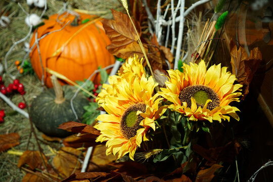fall decoration of pumpkins yellow and orange sunflowers, red mum flowers arranged with a bale of hay on a rustic wooden background.
