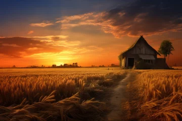 Foto op Canvas Sunset on a wheat field with a peasant hut © PinkiePie