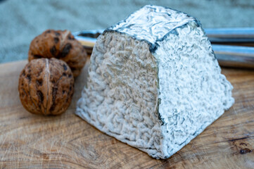 Cheese collection, French Pouligny pyramid cheese made from goat milk in region Pouligny-Saint-Pierre in France close up