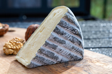 Piece of cheese tomme de chevre made from goat milk in France - obrazy, fototapety, plakaty