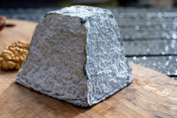 Cheese collection, French Valencay black pyramid cheese made from goat milk in France close up