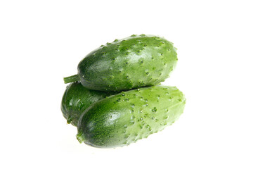 Fresh cucumber on the white background color