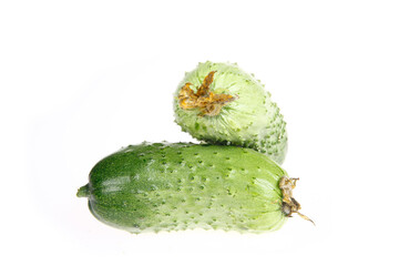 Fresh cucumber on the white background color