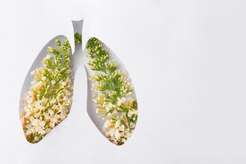 Human lungs shape hole in white paper with beautiful flowers, top view. Space for text