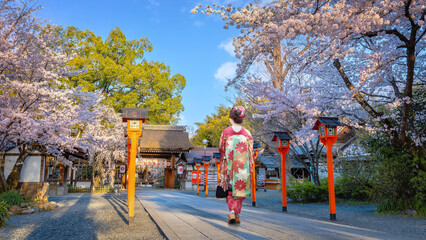 Obraz premium Young Japanese woman in traditional Kimono dress strolls at Hirano-jinja Shrine during full bloom cherry blossom season
