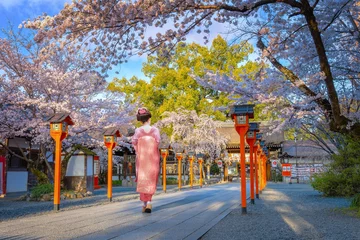 Deurstickers Young Japanese woman in traditional Kimono dress strolls at  Hirano-jinja Shrine during full bloom cherry blossom season © coward_lion