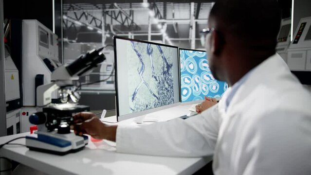 Research Lab Scientist Using Computer