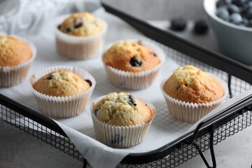 Delicious sweet muffins with blueberries on grey table