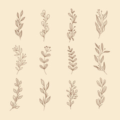 line leaves botanical floral collection simple vector
