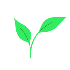 Vector leaf nature icon vector illustration template design