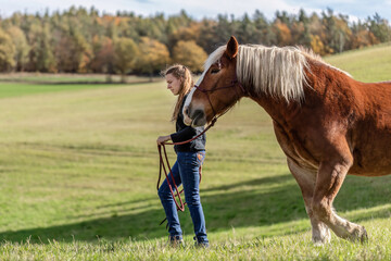 A young woman and her noriker coldblood draught horse on a meadow in autumn outdoors