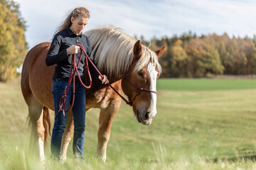 A young woman and her noriker coldblood draught horse on a meadow in autumn outdoors - obrazy, fototapety, plakaty