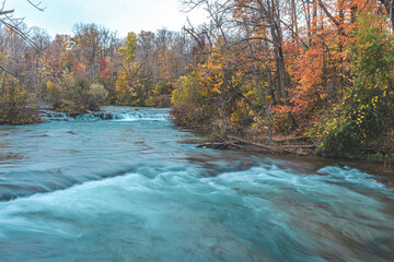 river in autumn forest