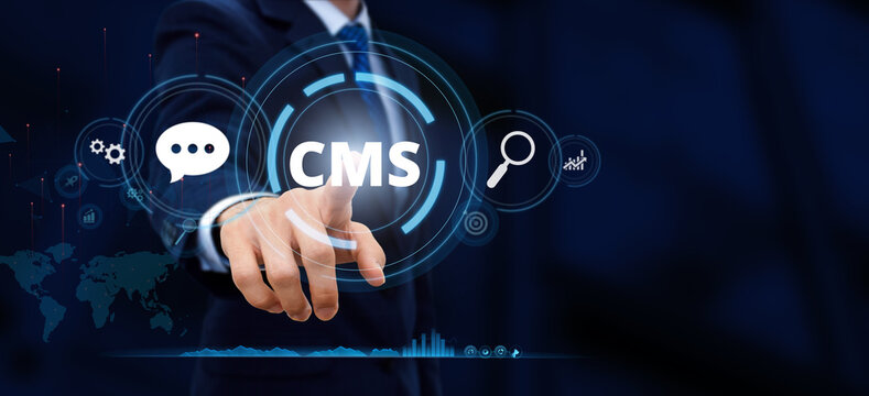 CMS - Content Management System. The Powerhouse of SEO Optimization and User Rights Settings.