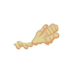 Aromatic ginger on white background
