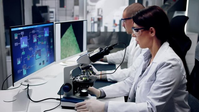 Electronic Lab Factory Worker