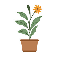 vector illustration of botanical flower pot