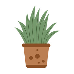 vector illustration of botanical flower pot