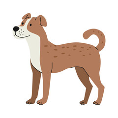 flat hand drawn illustration of dog animal