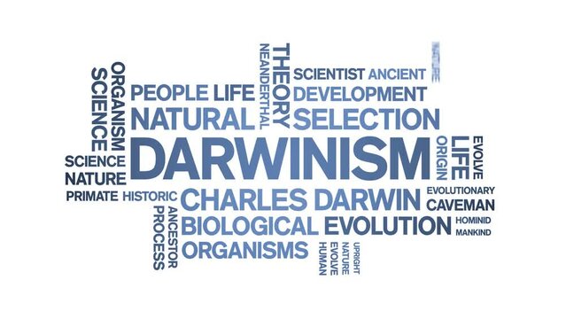 Darwinism animated tag word cloud;text design animation kinetic typography seamless loop.