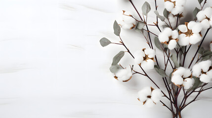 background of branchs of cotton and twigs - obrazy, fototapety, plakaty